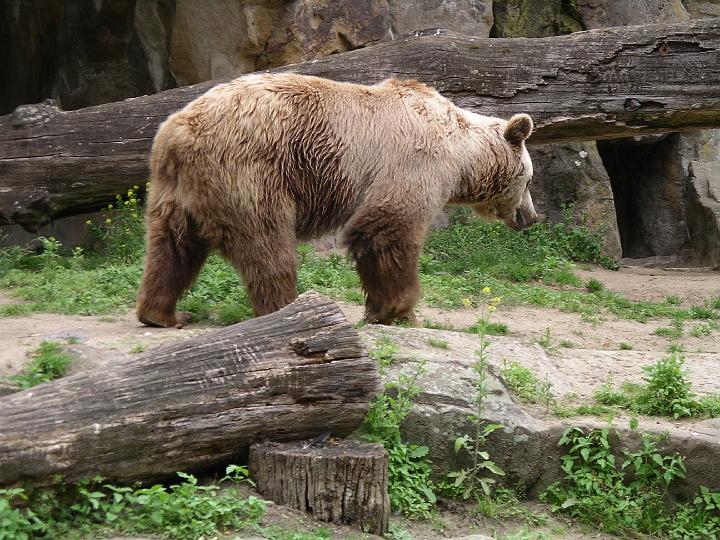 Berlijn 2009 ZOO163.jpg